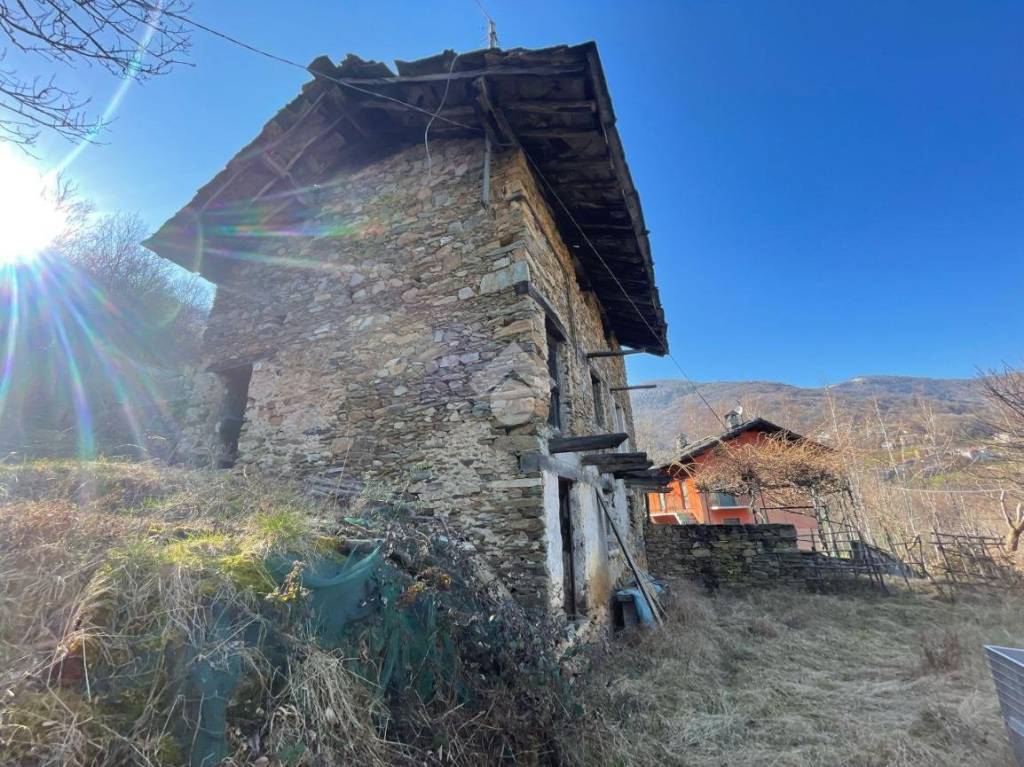 immagine annuncio 3 di 11