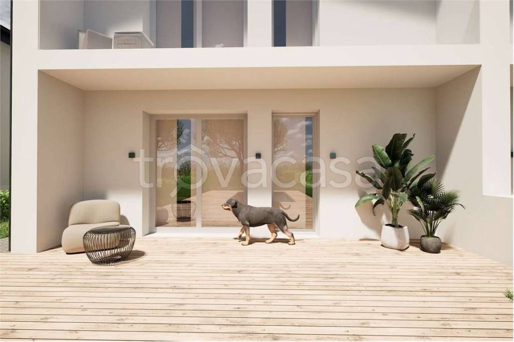 immagine annuncio 6 di 11