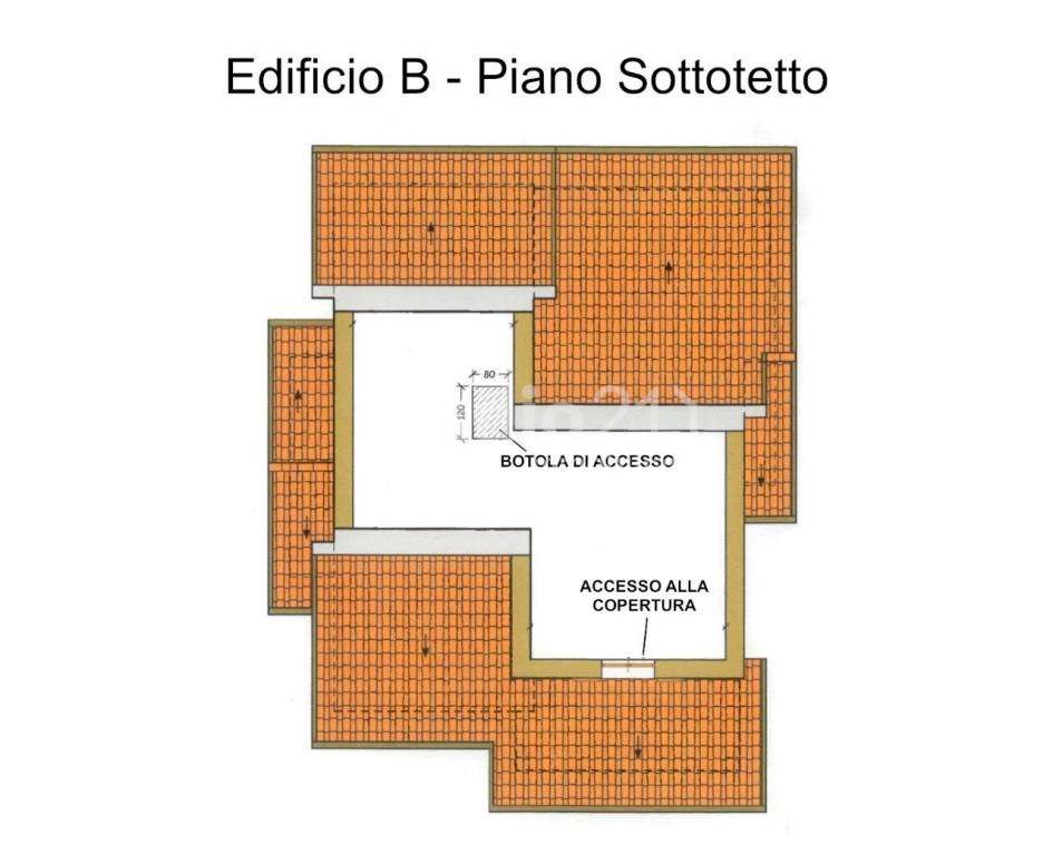 immagine annuncio 2 di 9