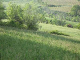 Terreno agricolo in vendita a sogliano al rubicone 