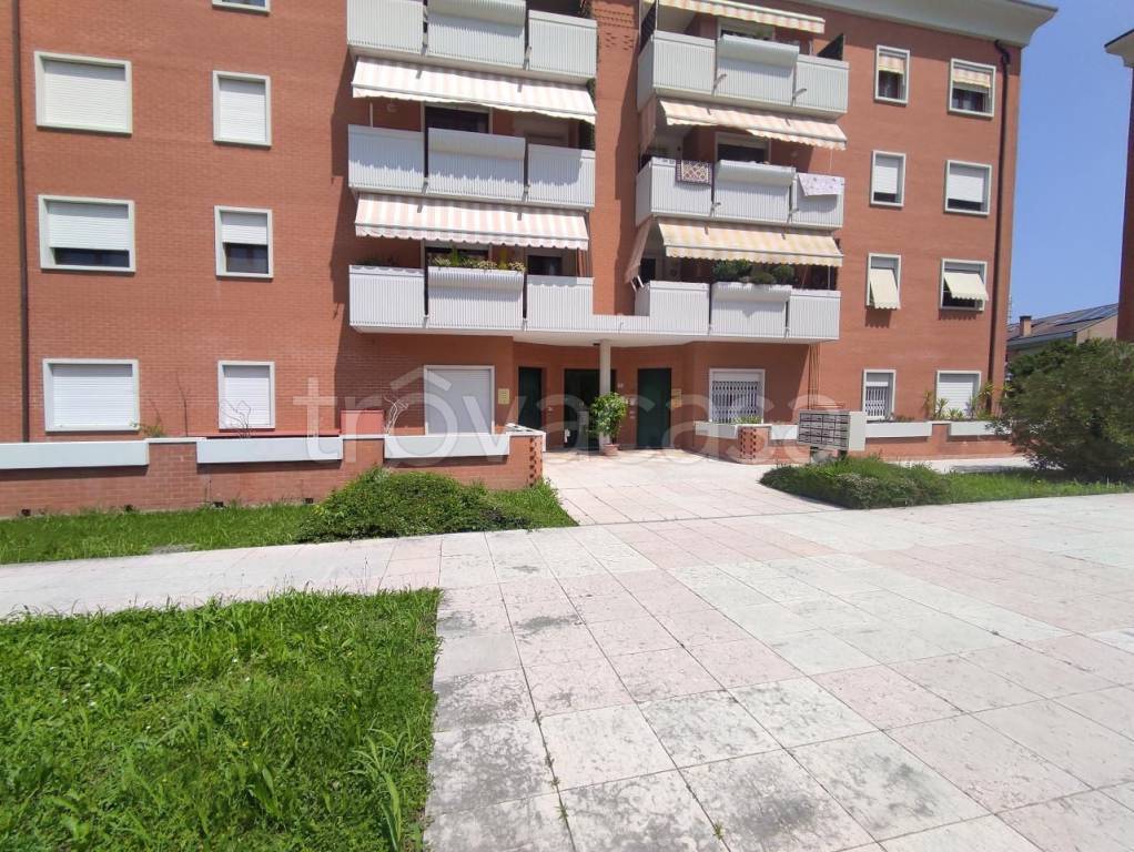 immagine annuncio 7 di 8