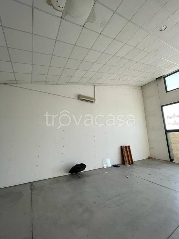 immagine annuncio 5 di 7