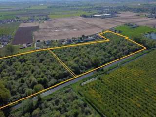 Terreno agricolo all'asta a cerea località san vito