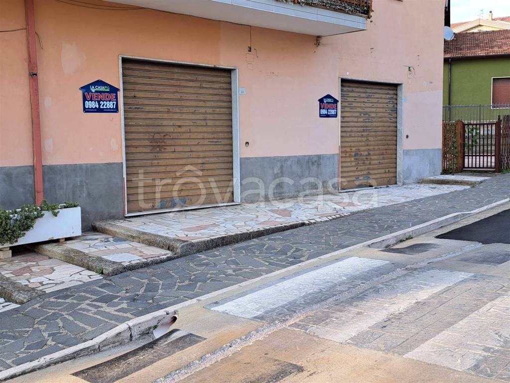 immagine annuncio 2 di 8