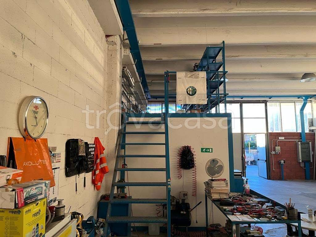 immagine annuncio 6 di 15