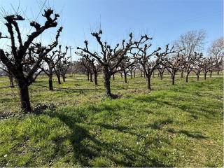 Terreno agricolo in vendita a imola terreno agricolo 17.000 mq