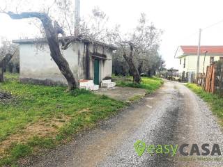 Terreno agricolo in vendita a montecorvino rovella contrada rezzaro