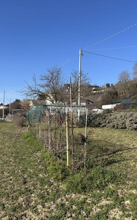 immagine annuncio 5 di 14