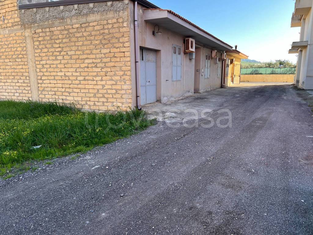 immagine annuncio 2 di 6