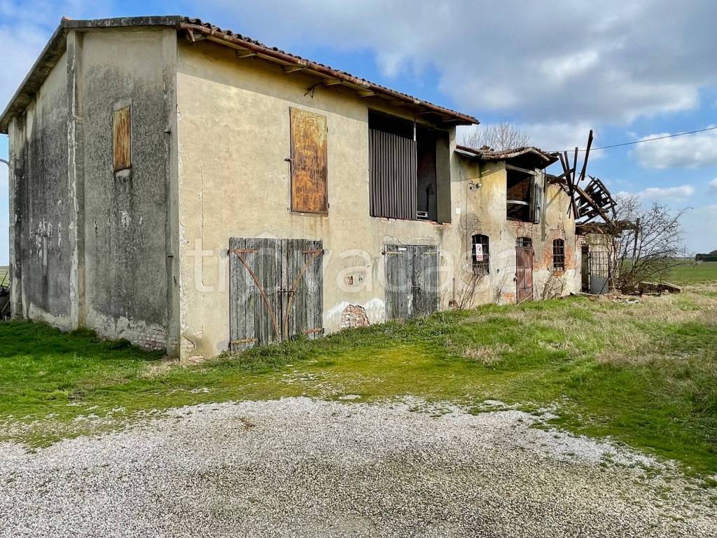 immagine annuncio 5 di 6