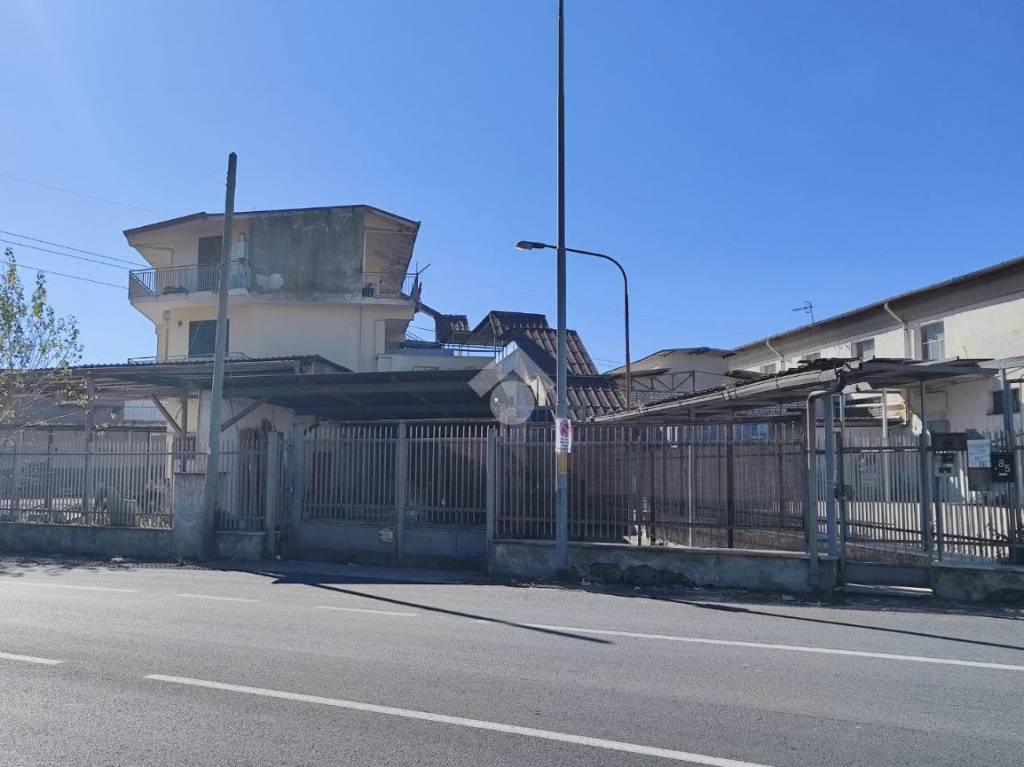 immagine annuncio 1 di 13