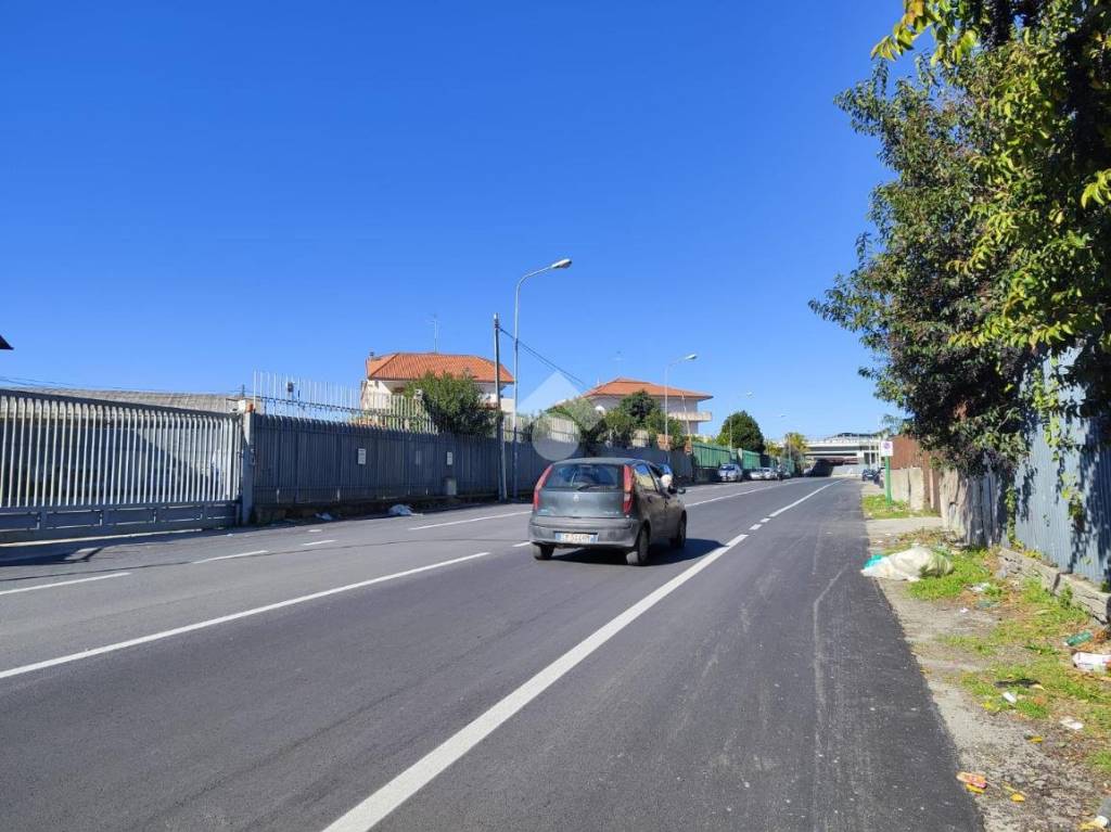 immagine annuncio 2 di 13