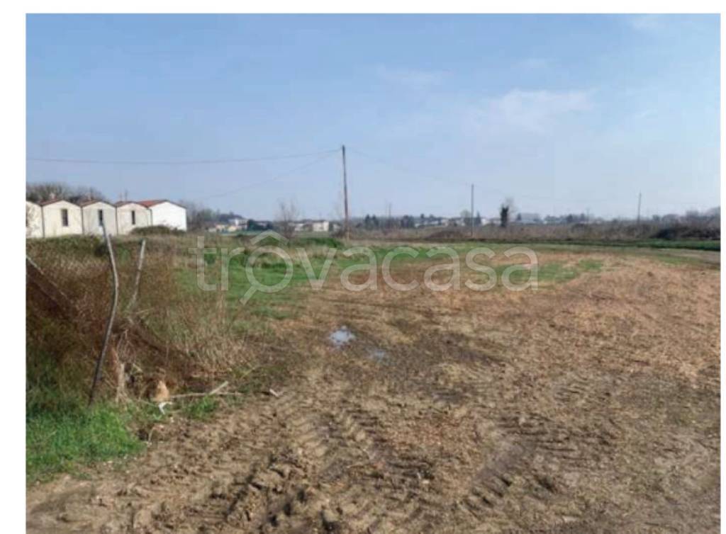 immagine annuncio 3 di 11