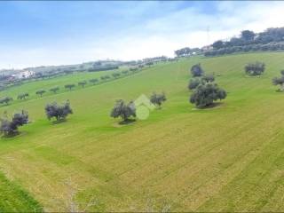 Terreno agricolo in vendita a porto san giorgio via domenico collina