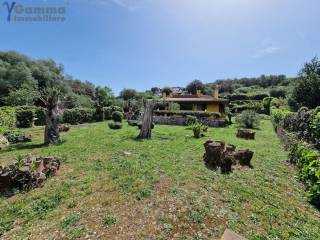 Villa in affitto a orbetello via delle ginestre