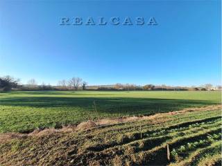 Terreno agricolo in vendita a osimo 