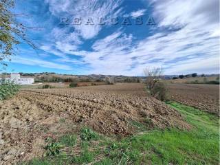 Terreno residenziale in vendita a polverigi della quercetta