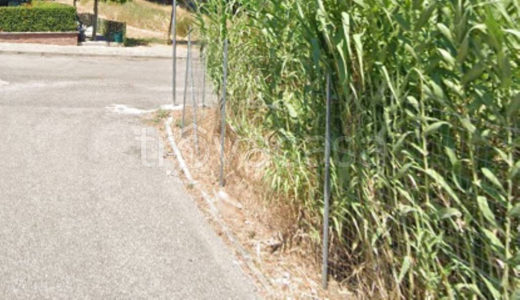 immagine annuncio 8 di 11