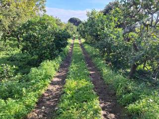 Terreno agricolo in vendita ad acireale via san pietro patti