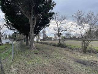 Terreno agricolo in vendita a bolsena 