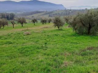 Terreno residenziale in vendita a montecastrilli via guglielmo marconi, 24