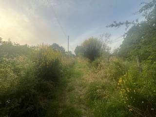 Terreno agricolo in vendita ad amelia strada di macchie, 25