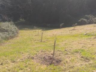 Terreno agricolo in vendita a vico del gargano via della resistenza, 117