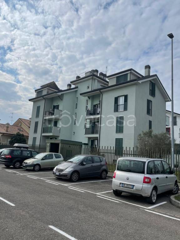 immagine annuncio 1 di 11