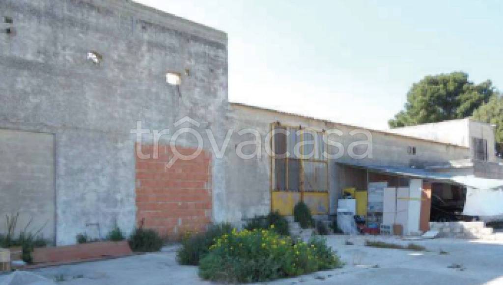 immagine annuncio 4 di 11