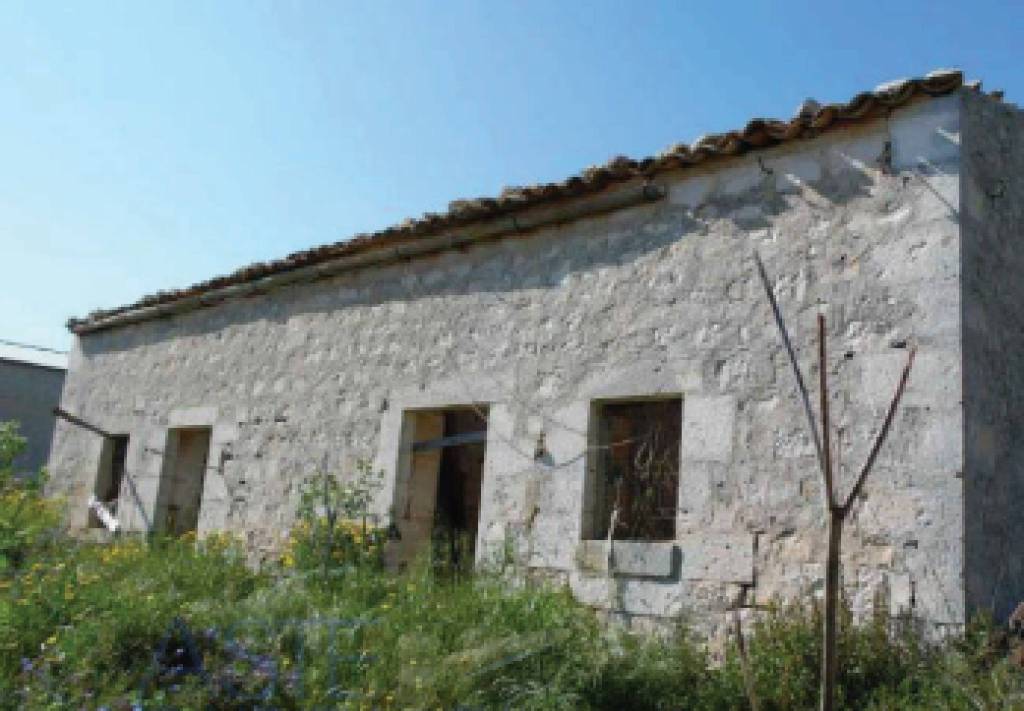 immagine annuncio 10 di 11