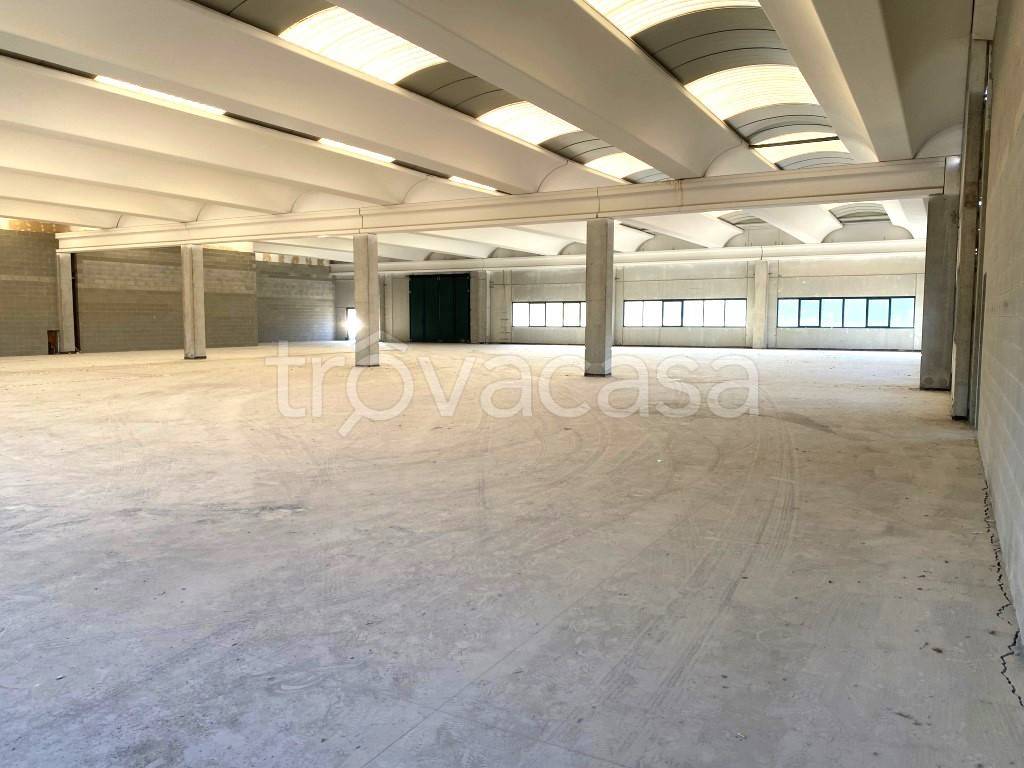 immagine annuncio 9 di 13