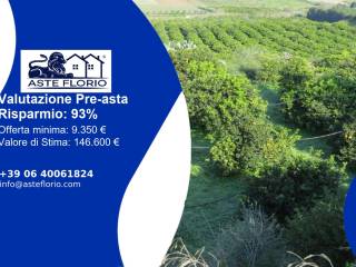 Terreno agricolo all'asta ad acate sp2