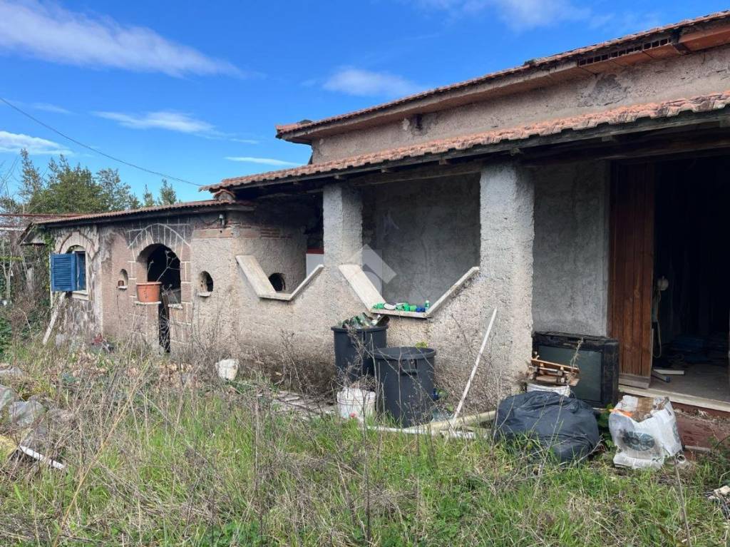 immagine annuncio 3 di 12