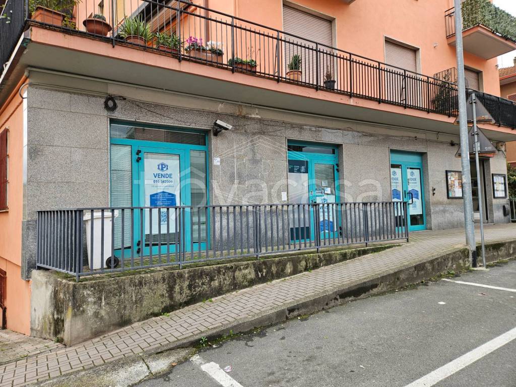 immagine annuncio 2 di 14