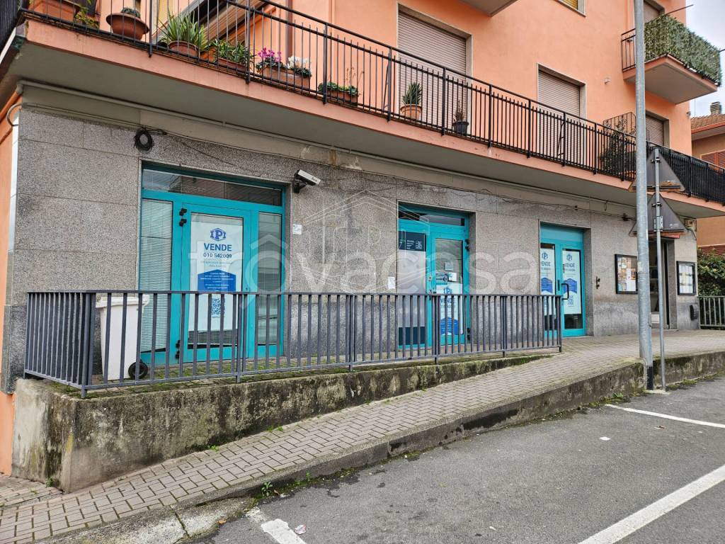 immagine annuncio 3 di 14