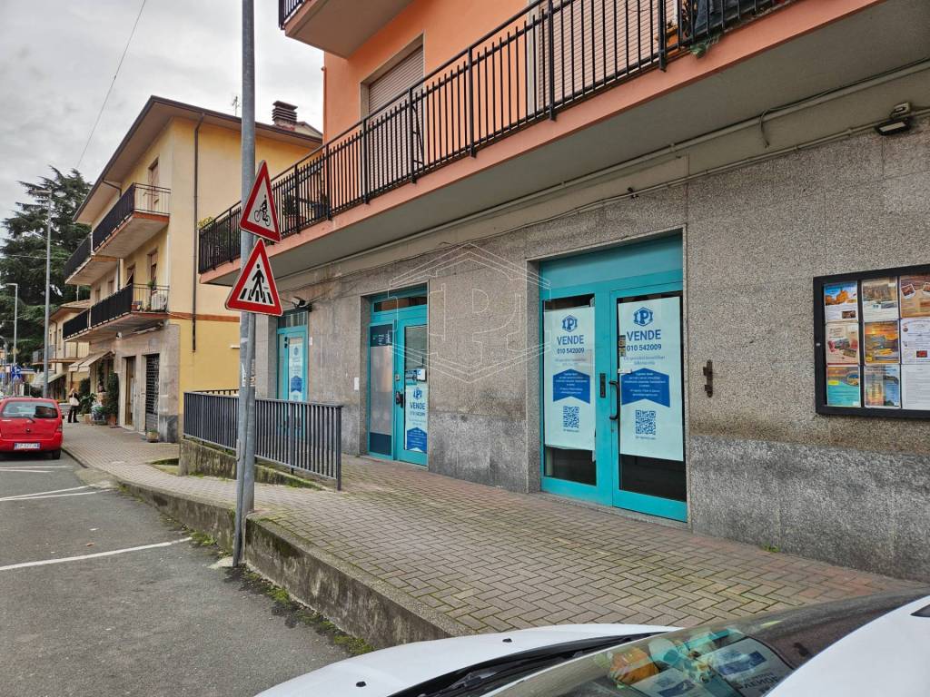 immagine annuncio 4 di 14