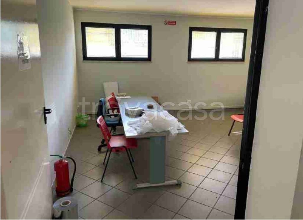 immagine annuncio 7 di 13