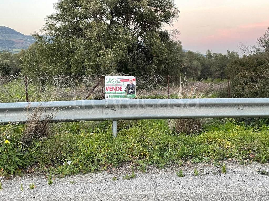 immagine annuncio 3 di 13