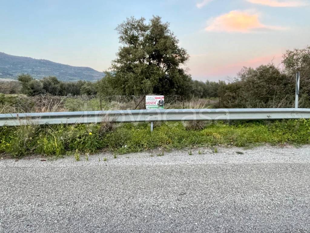 immagine annuncio 2 di 13
