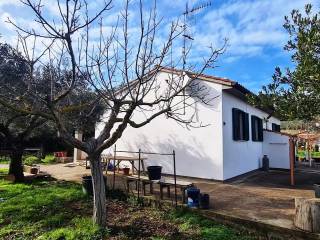 Villa in vendita a campo nell'elba 