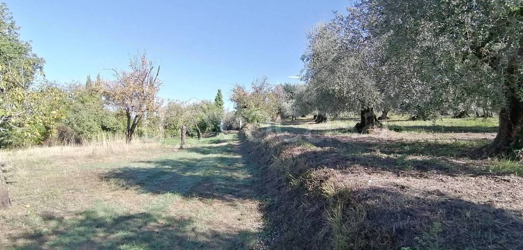 immagine annuncio 6 di 9