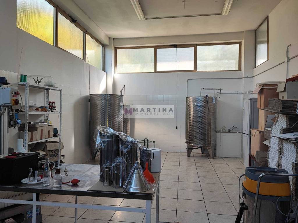 immagine annuncio 8 di 11