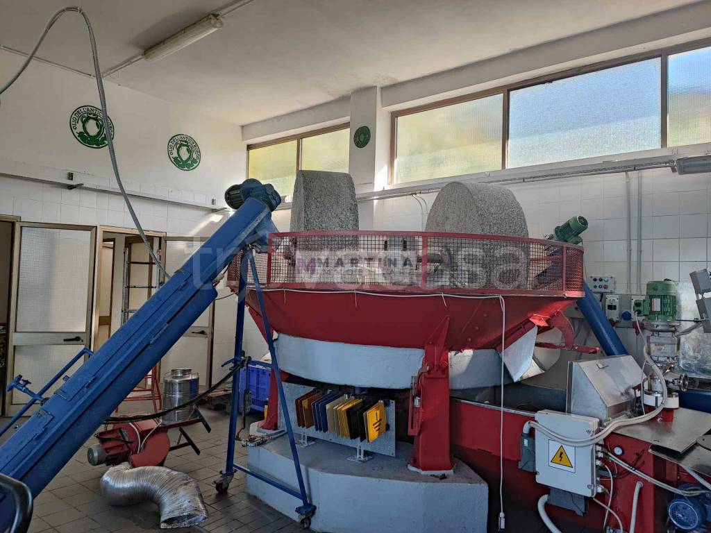immagine annuncio 2 di 11
