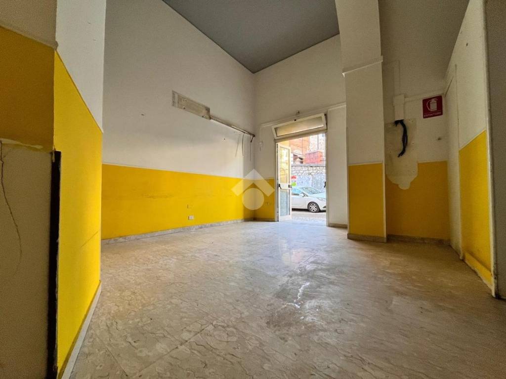 immagine annuncio 7 di 13