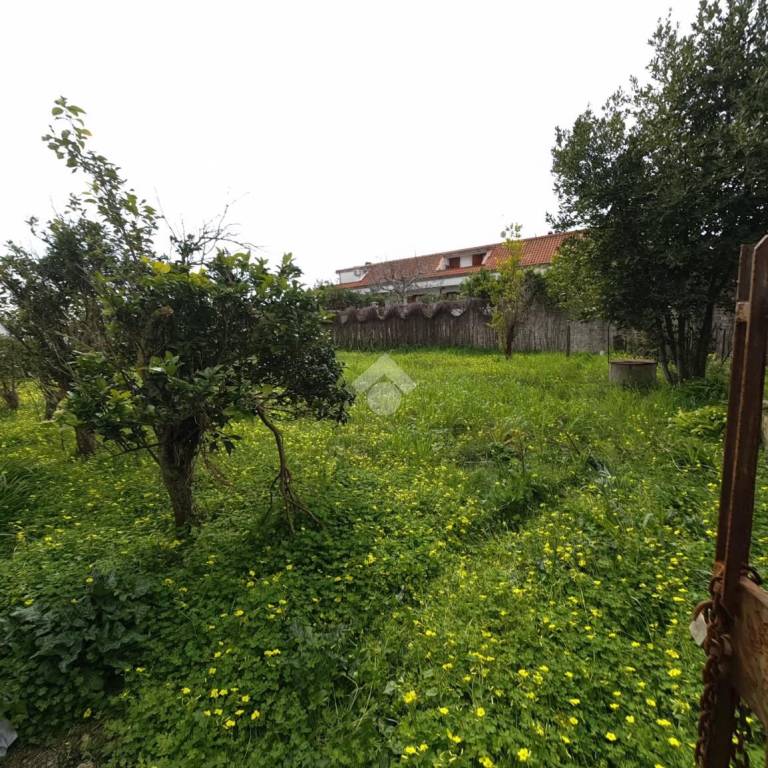 immagine annuncio 4 di 8