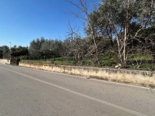 Terreno residenziale in vendita a campagna via piantito, 10