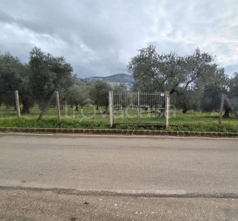 immagine annuncio 2 di 3
