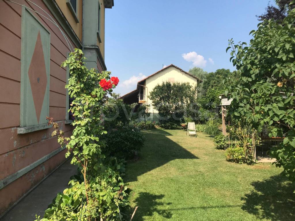 immagine annuncio 9 di 15