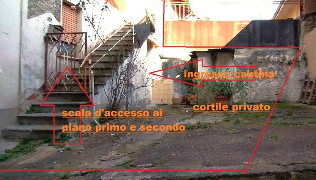 immagine annuncio 9 di 12