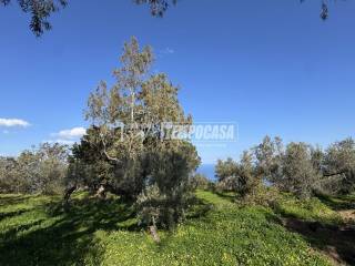 Magazzino in vendita a messina via contrada campi castanea